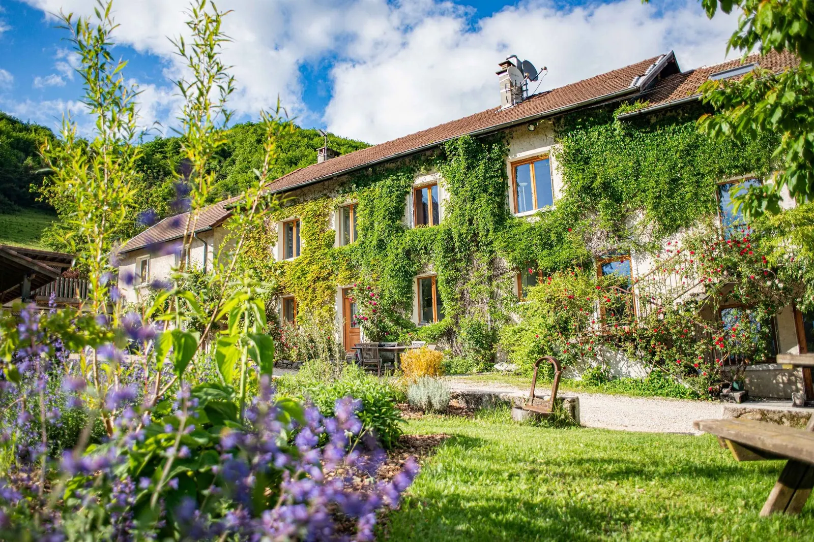 La maison des Arnaux, façade de pierre couverte de vigne, face à la vallée