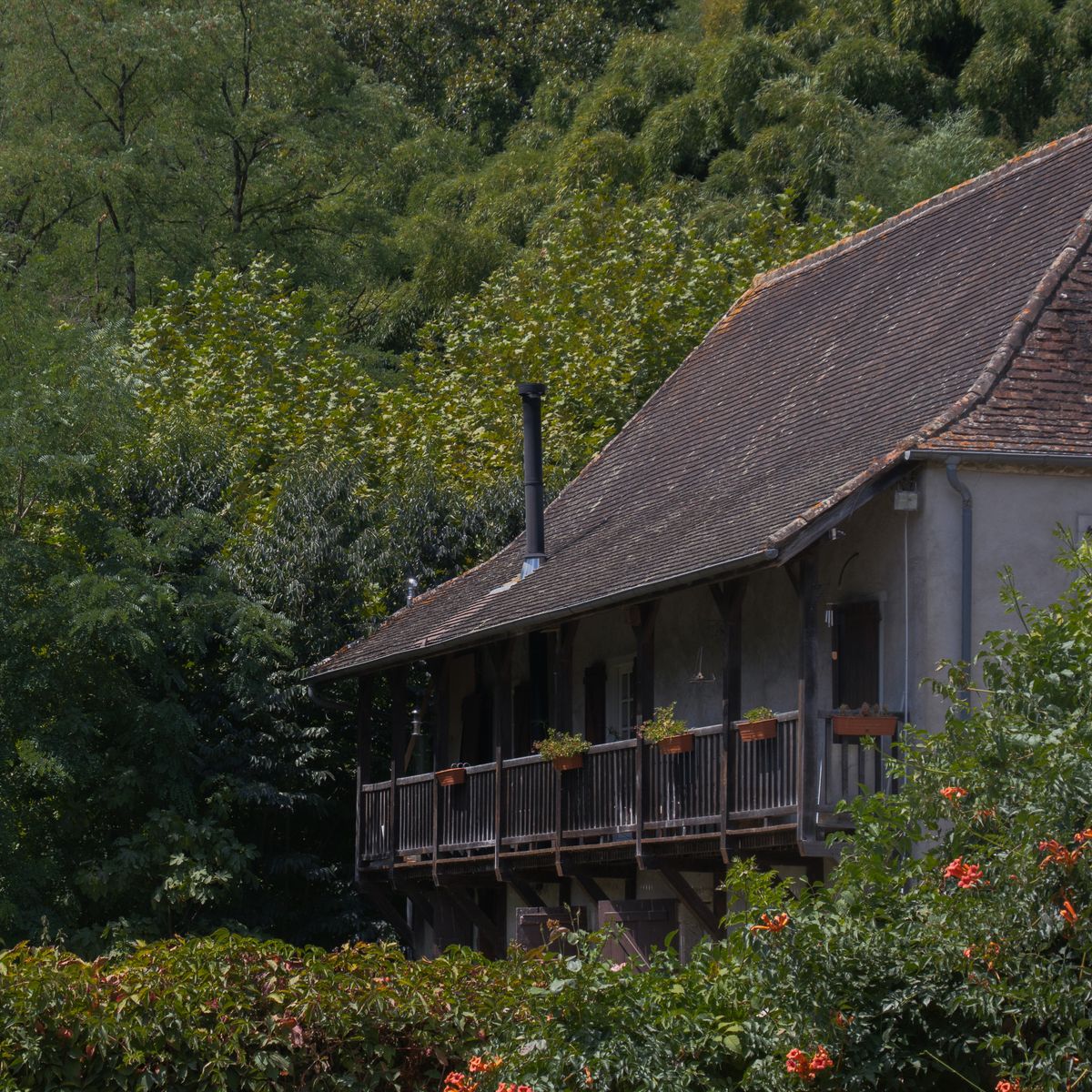 Bâtisse rustique à la campagne entourée de verdure, dans un cadre naturel isolé et paisible